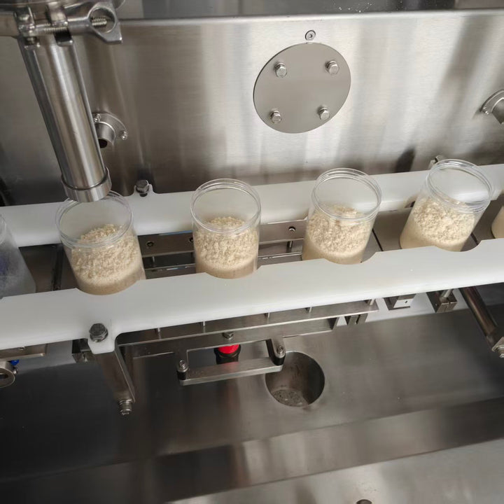 Cheese powder auger filling machine filling process - Tranfull