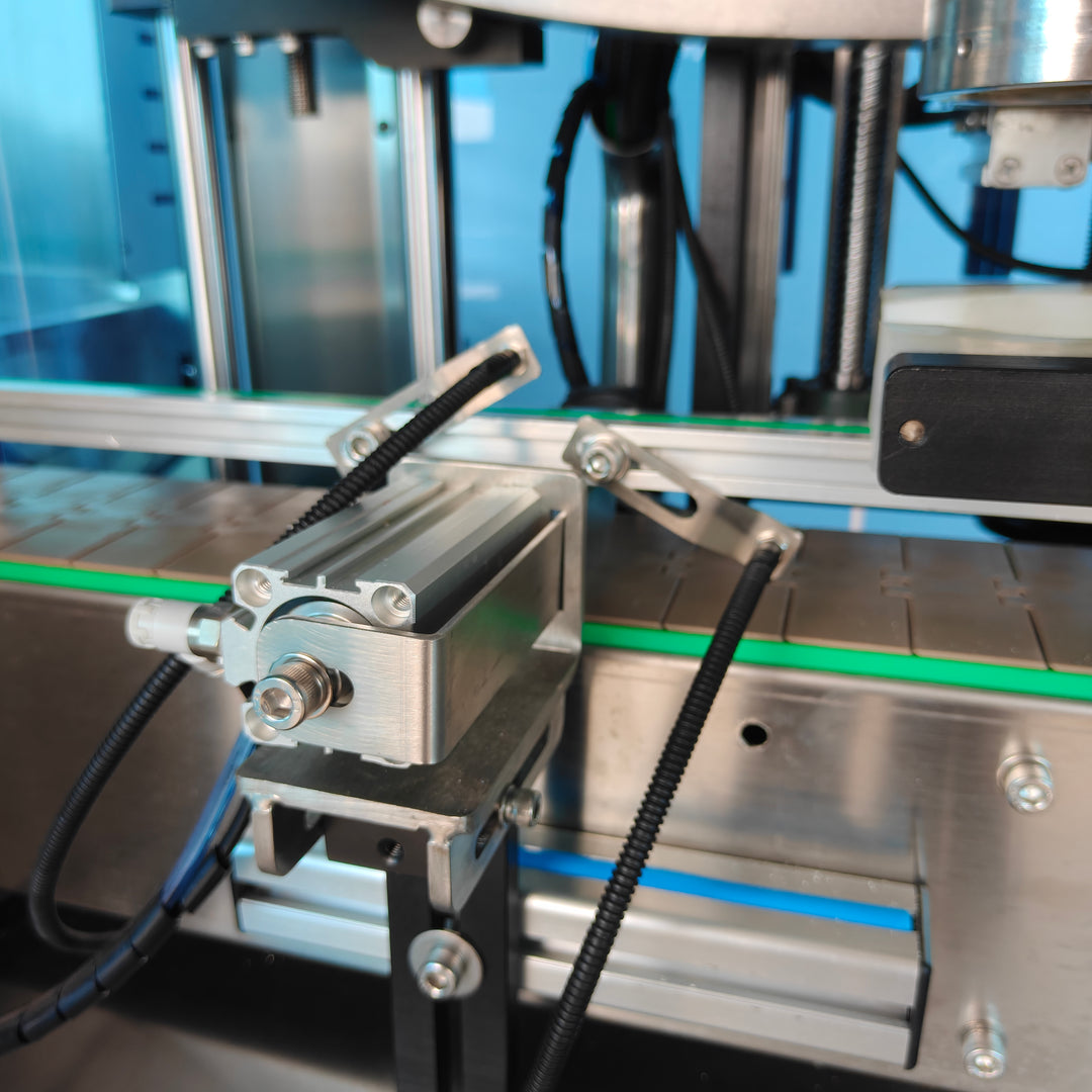 Conveyor system of single head servo capping machine - Tranfull