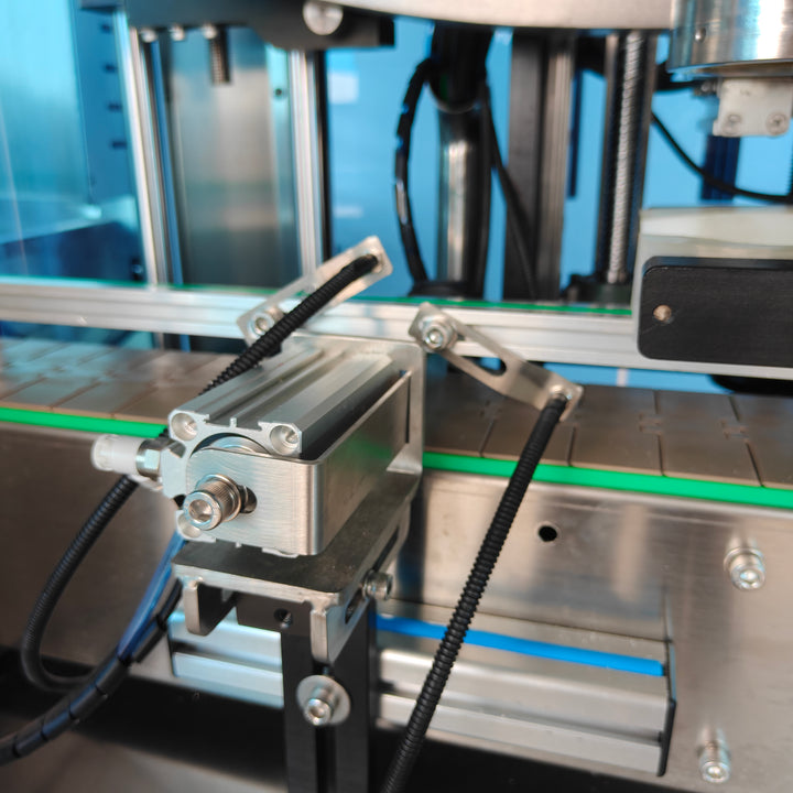 Conveyor system of single head servo capping machine - Tranfull